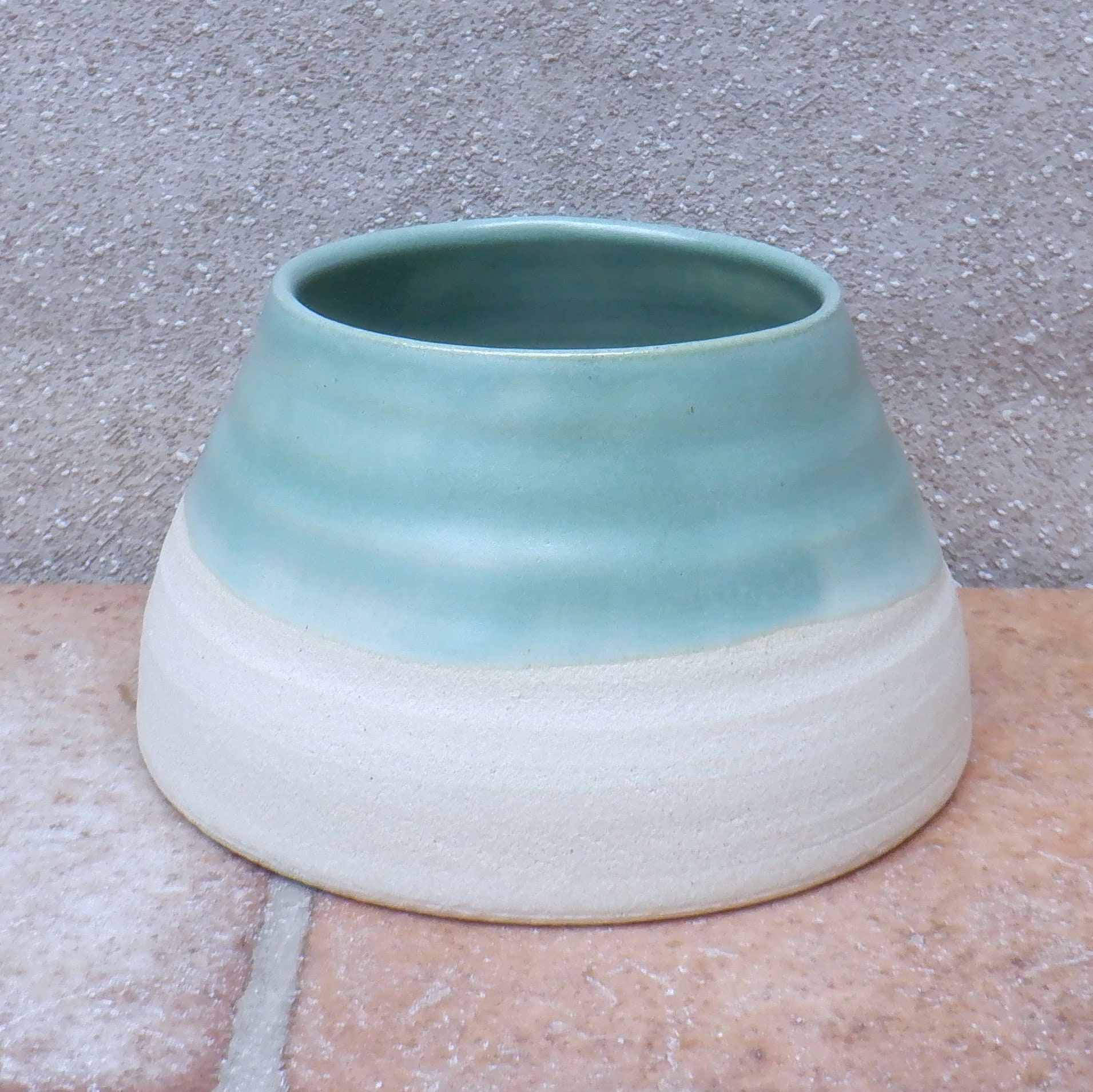 Dry ear cheap dog bowl