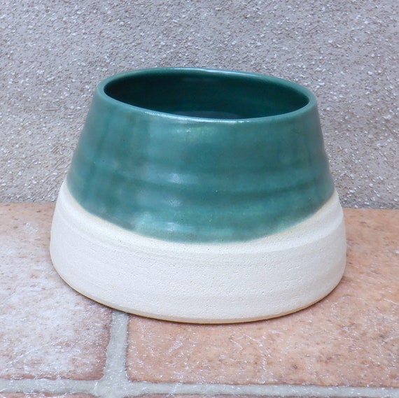 Why Does My Dog Turn Over His Water Bowl