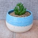 see more listings in the Vases and planters section