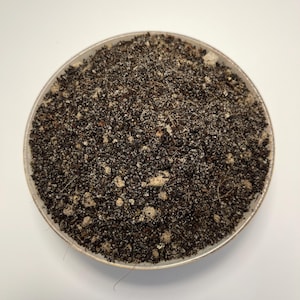 May include: A round, shallow bowl filled with a mixture of dark brown soil, light-colored granules, and small pieces of organic matter. The bowl has a light-colored rim and sits against a white background.