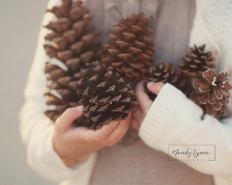 Armful of pinecones - art print