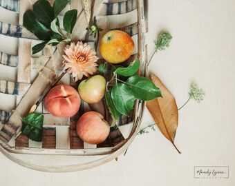 Peach harvest - art print