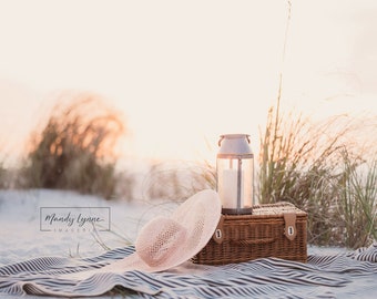 Seaside picnic