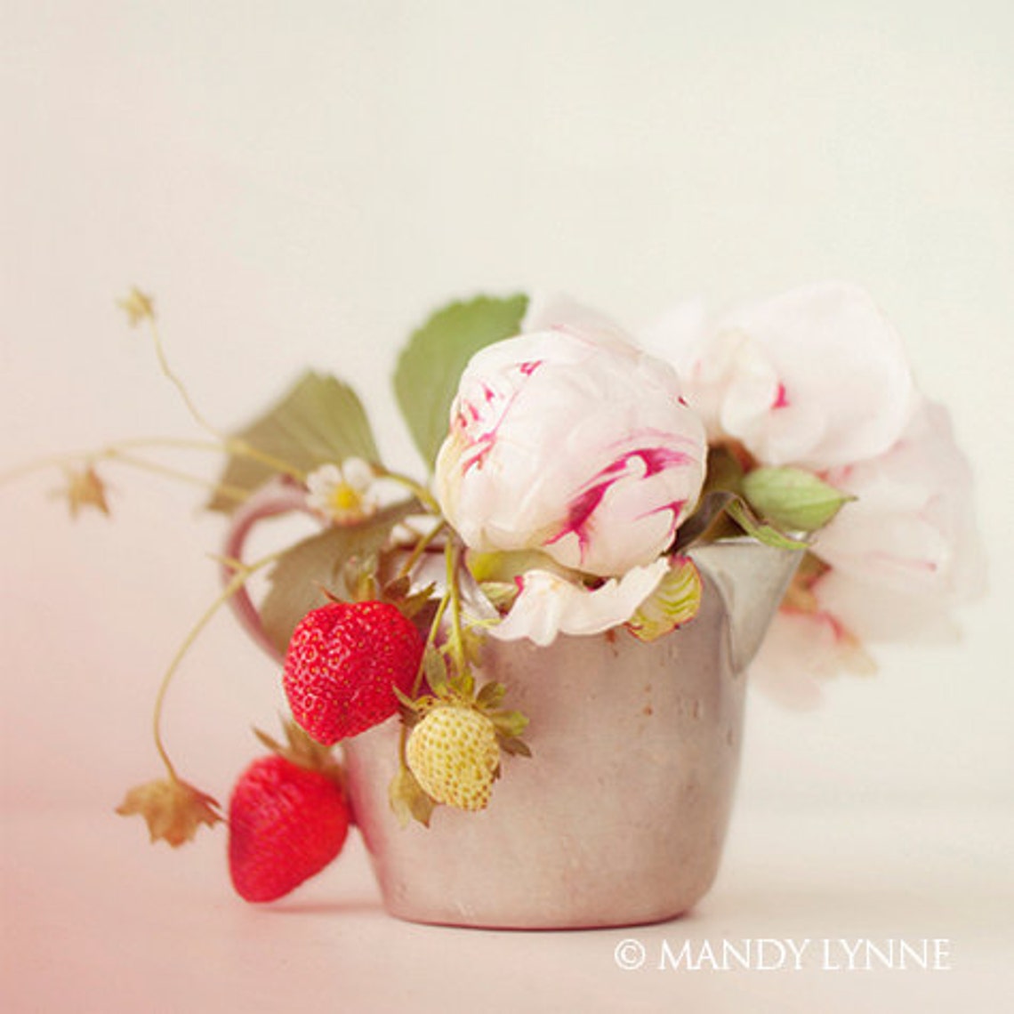 Freshly Picked - Etsy