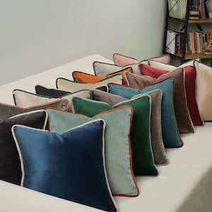 Puede incluir: Una colección de almohadas decorativas con una variedad de colores y texturas. Las almohadas están dispuestas en una fila, con la almohada más grande en la parte posterior y la más pequeña en la parte delantera. Todas las almohadas están hechas de terciopelo y tienen un ribete contrastante.