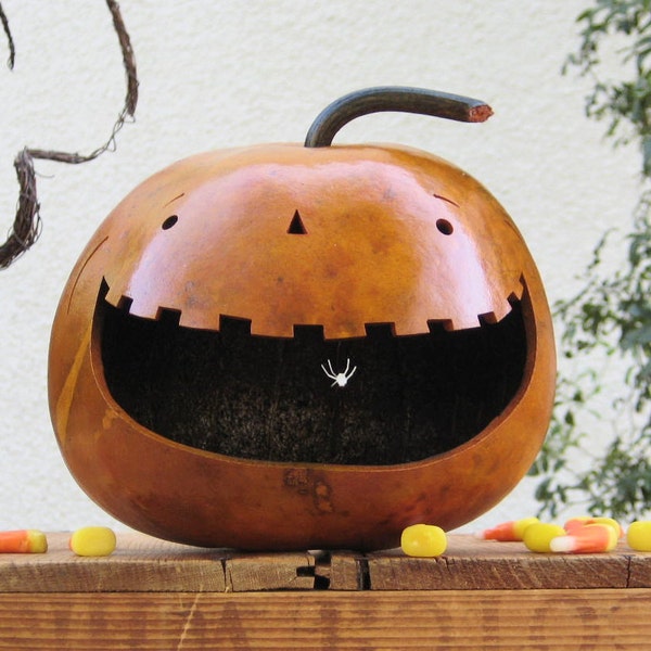 Halloween Gourd Jack O Lantern Natural Fall Harvest Pumpkin Decoration