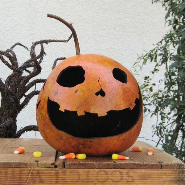 Halloween Gourd Jack O Lantern Natural Fall Harvest Pumpkin Decoration