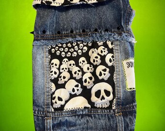Punk Rock Pet Vest: Custom Skulls Jacket