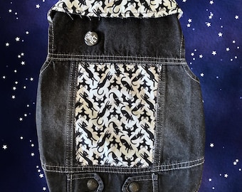 Chaleco para mascotas estilo punk rock - Chaleco para murciélagos y gatos