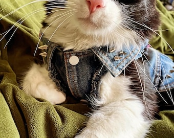 Punk Rock Cat Vest - Little Bats Design - Punk Clothes for Pets - Dogs - Cats - Critters - Battle Jacket - Cut-off - Jean Vest