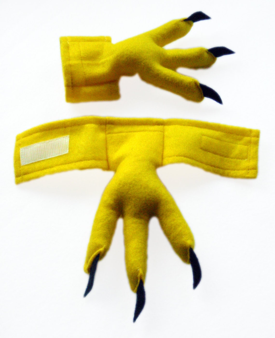 Yellow Baby Bird Feet With Talons 3 Months to 2 Years. - Etsy