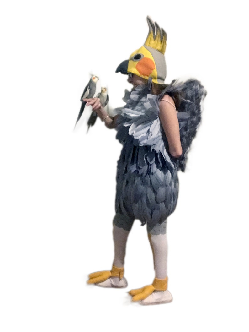 Patas de dois dedos para pássaros, cor personalizada, calopsita. Quatro tamanhos. Garras opcionais, animal, dinossauro. imagem 3