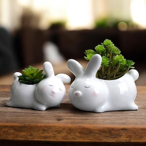 Ceramic Bunny Succulent Planter: Kawaii Desk Decor