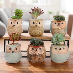 Jarrones con forma de búho: adorables minijarrones de cerámica para suculentas y flores, regalo perfecto para los amantes de los búhos y los entusiastas de la naturaleza