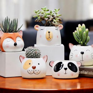 Cute Animal Porcelain Planter - Small Succulent Pot for Indoor Plants, Kawaii Desk Decor, Mini Flower Pot, Adorable Home & Office Gift