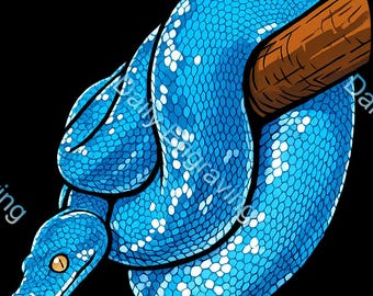 56 Snake Clipart PNG Bundle, Reptile Graphics, Sublimation Designs (Digital Download)