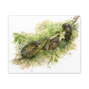May include: Watercolour painting of a green anaconda coiled on a tree branch. The snake has a brown and yellow pattern. The background features green foliage and a white backdrop.