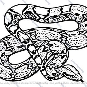 Può includere: Illustrazione in bianco e nero di un serpente con un motivo dettagliato. Il serpente è arrotolato, con la testa e la coda vicine. Il design presenta un motivo strutturato su tutto il corpo.