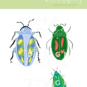 Bugs Digital Art