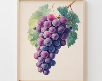 Vintage Botanical Grapes Printable - Rustic Kitchen Wall Art, Farmhouse Grape Wine Art, Cottagecore Decor, Digital Download Primo