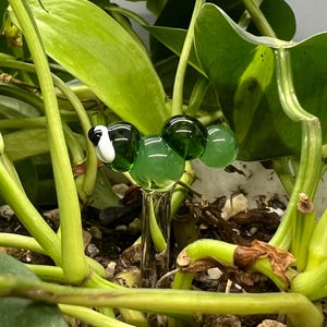 以下が含まれることがあります： 緑と白のガラス製の毛虫のガーデンステーク。毛虫はガラスビーズで作られており、白の顔に黒い目があります。ステークは透明なガラスです。