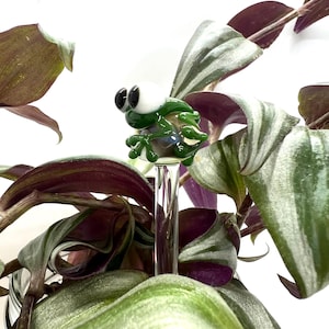 Puede incluir: Una original estaca de riego para plantas de vidrio con una rana verde con grandes ojos saltones. La rana se asienta sobre un tubo de vidrio transparente, diseñado para ser insertado en la tierra de una planta de interior. El fondo incluye una planta de interior con hojas verdes y moradas.