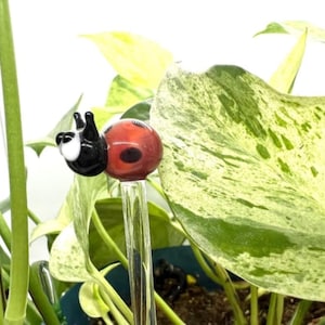 Ladybug Glass Plant Stake- Customizable Length- Eco Friendly- Handmade- Unique Gift Idea For Houseplant Lover, Bouquet and Garden Decor