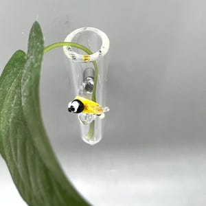 Winziger Honigbienen-Terrariummagnet aus Glas – Miniaturtier – Handgefertigte Anzuchtvase – Mundgeblasenes Glas – Einzigartige Geschenkidee für Zimmerpflanzenliebhaber