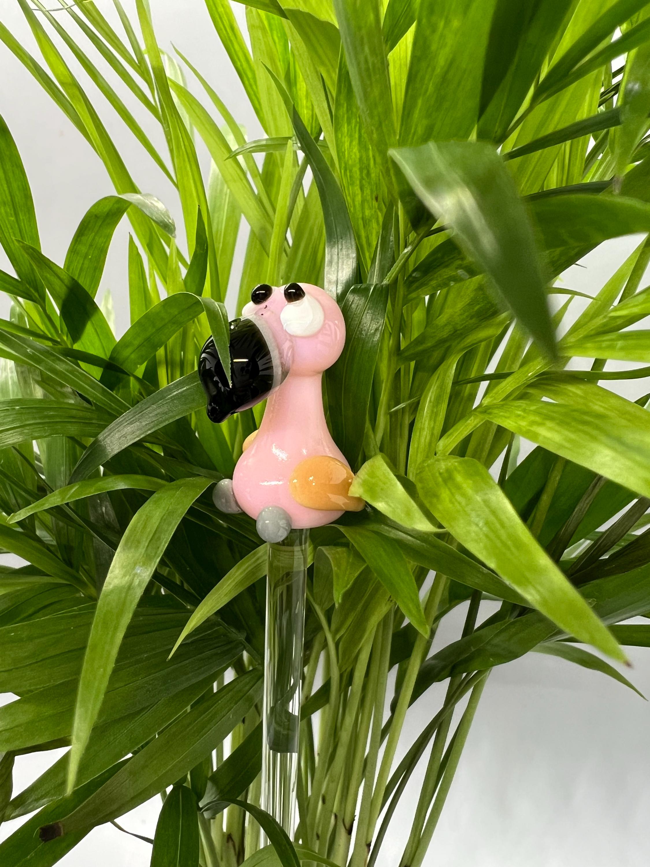 Flamingo\