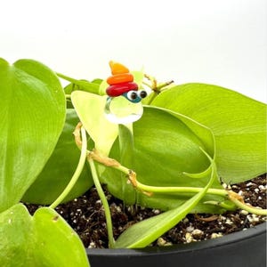 Puede incluir: Una figurita de vidrio colorida de una criatura con ojos saltones que lleva un sombrero rojo, naranja y amarillo. La figurita está colocada en una maceta de plantas verdes.