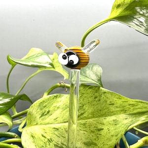 May include: A whimsical glass bee plant stake with a clear stem. The bee has yellow and black stripes, large white eyes, and clear wings. The stake is inserted into a potted plant with large green and yellow leaves.