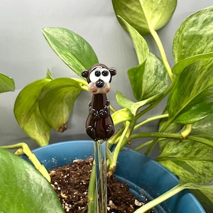 May include: A brown and white glass monkey plant stake. The monkey has large white eyes and a brown body. The stake is made of clear glass and is inserted into a blue pot with soil and green plants.