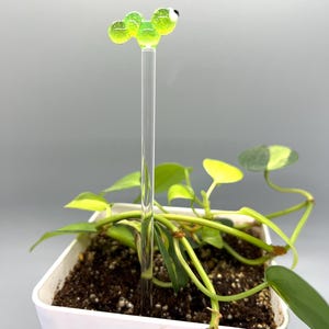 May include: A green glass worm plant stake with a white eye, inserted into a potted plant with green leaves.
