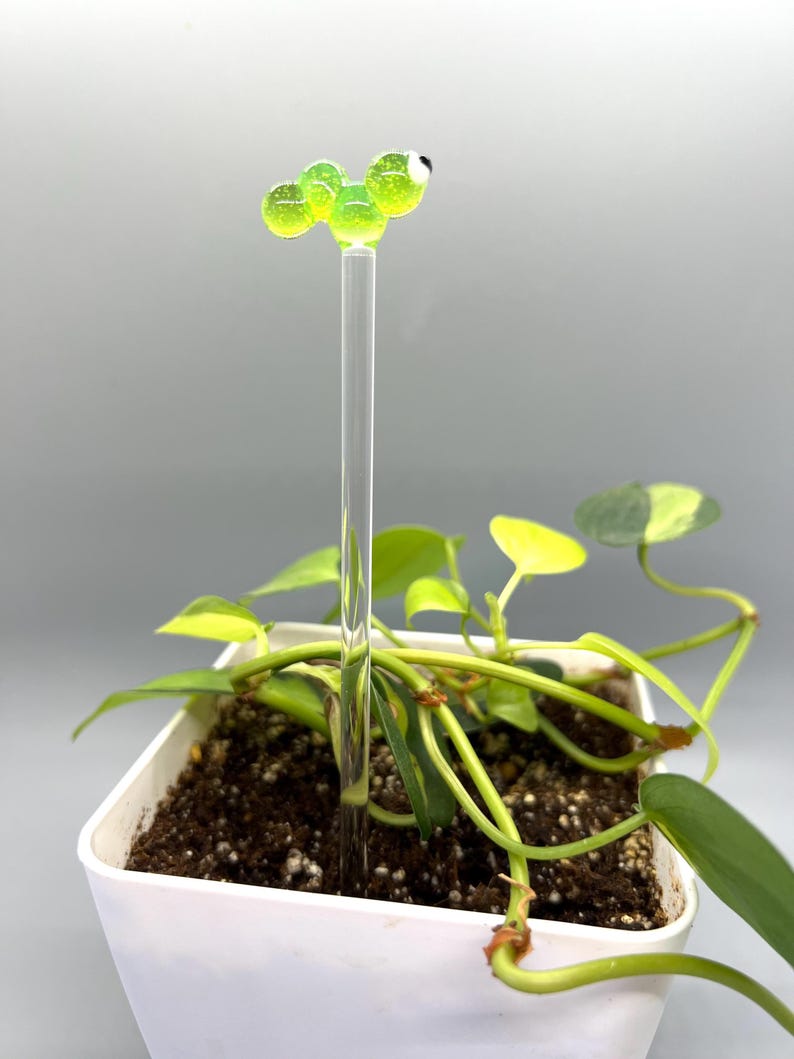 May include: A green glass worm plant stake with a white eye, inserted into a potted plant with green leaves.