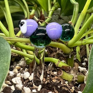 以下が含まれることがあります： 紫と緑のガラスビーズでできた、毛虫の形をしたガラス製のガーデンステーク。ステークは鉢植えの植物の土に差し込まれています。