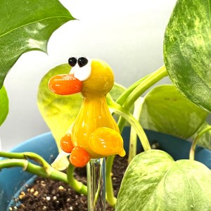 May include: A whimsical, yellow glass duck plant stake with orange beak and feet, and black and white eyes. The duck is mounted on a clear glass rod, perfect for adding a touch of charm to indoor or outdoor plants. The duck is surrounded by green leaves.