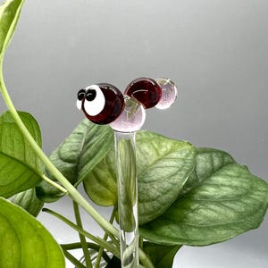 以下が含まれることがあります： 赤いガラスと白いガラスでできたアリがついたガラス製の植物の支柱。アリは黒い目と透明なガラスの体をしている