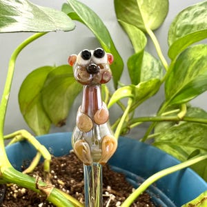 May include: A clear glass plant watering stake with a meerkat design. The meerkat has brown and tan coloring with black eyes and a clear glass stem. The stake is inserted into a blue pot with soil and surrounded by green leafy plants.