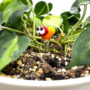 Regnbågslarv i glas - växtpåle - miljövänlig - handgjord - unik krukväxt, bukett och trädgårdsdekor