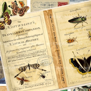 Vintage FIELD NOTEBOOK Kit 2, Digital Junk Journal Printable, Nature DIGITAL Collage Sheets, Botanical Nature Botany Ephemera, 4 pages