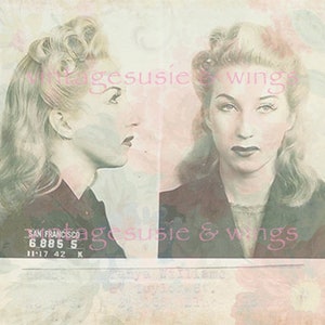 Kit de diario basura LADY KILLER de crímenes reales vintage n.° 1, descarga digital imprimible, collage, 5 páginas de FONDOS
