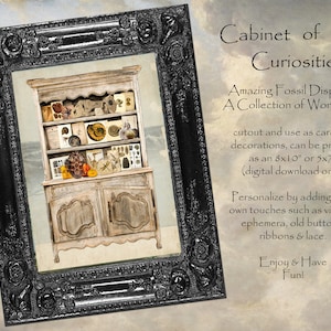 Make Your Own FUN Cabinet of Curiosities FOSSIL DISPLAY Mary Anning Digital Download, 4 Pages, Print as 8x10 or 5x7, Card or Decoration