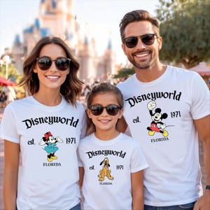 Disneyworld Florida Shirts, Disney Characters Shirt, Disney Florida Trip, Mouse And Friends Tee, Winnie The Pooh Shirt, Disney Group Shirts