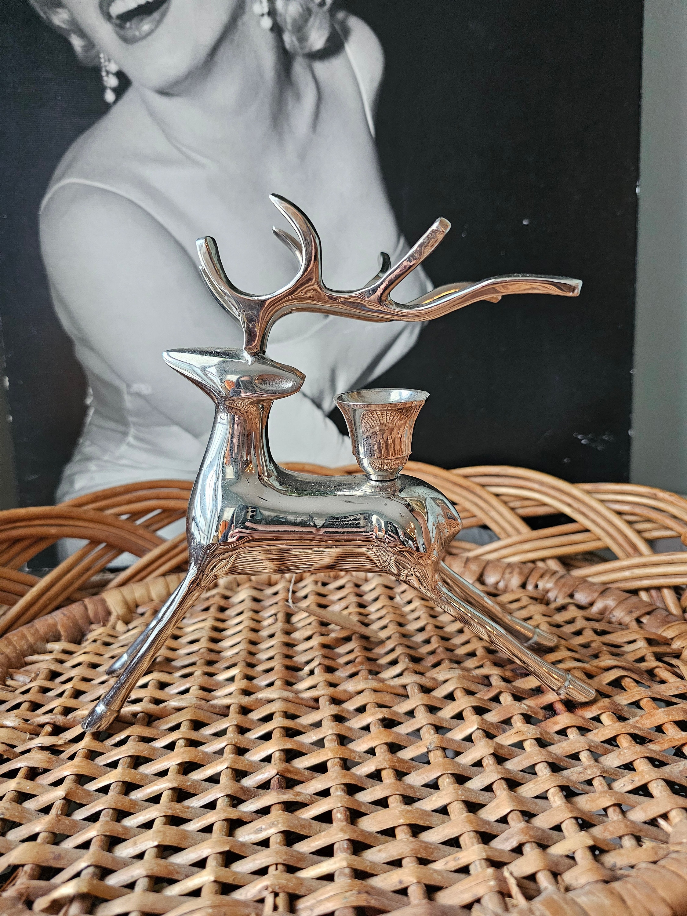 Pottery Barn Reindeer Napkins Australia