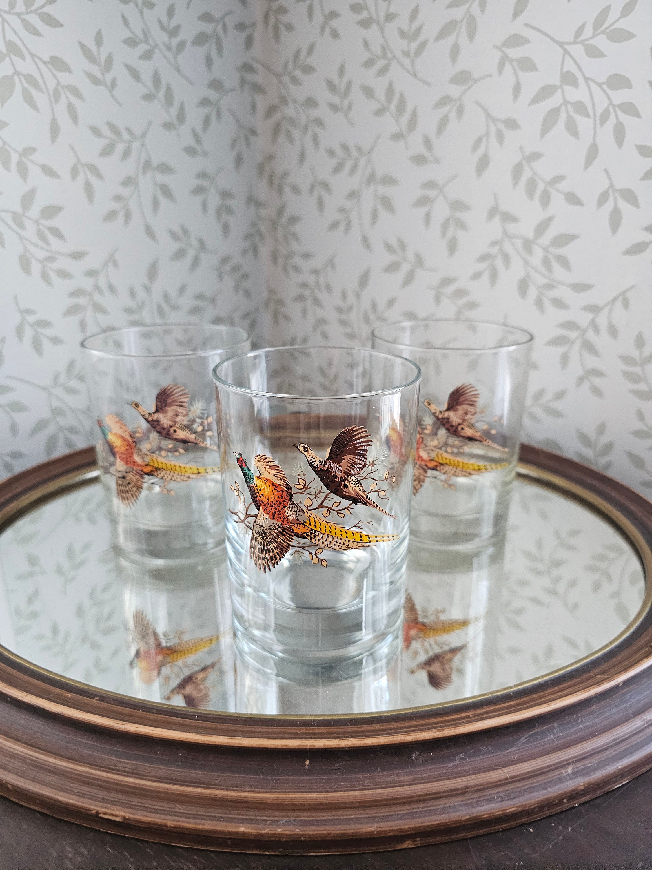 Vintage Large Wild Bird Series Tall Drinking Glasses, Water Glasses, Barware  Glasses, Cabinet Decor, Collectible Glassware-set of Six 