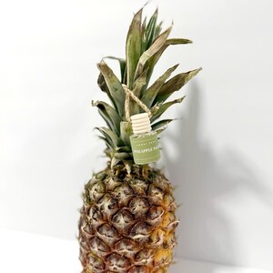 Pineapple Sage Car Diffuser