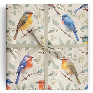 May include: Gift wrap featuring watercolor illustrations of colorful birds perched on branches with green leaves. The birds have blue, orange, and red plumage. The wrap is tied with a beige ribbon in a bow.