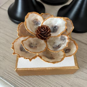 Oyster Shell magnolia decor