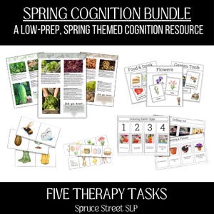 Spring Adult Speech Therapy Cognition Bundle