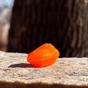 May include: A bright orange, gem-like stone sits on a textured rock surface. The stone's smooth, rounded form contrasts with the rough texture of the rock. A blurred tree trunk forms the background, adding depth to the image.